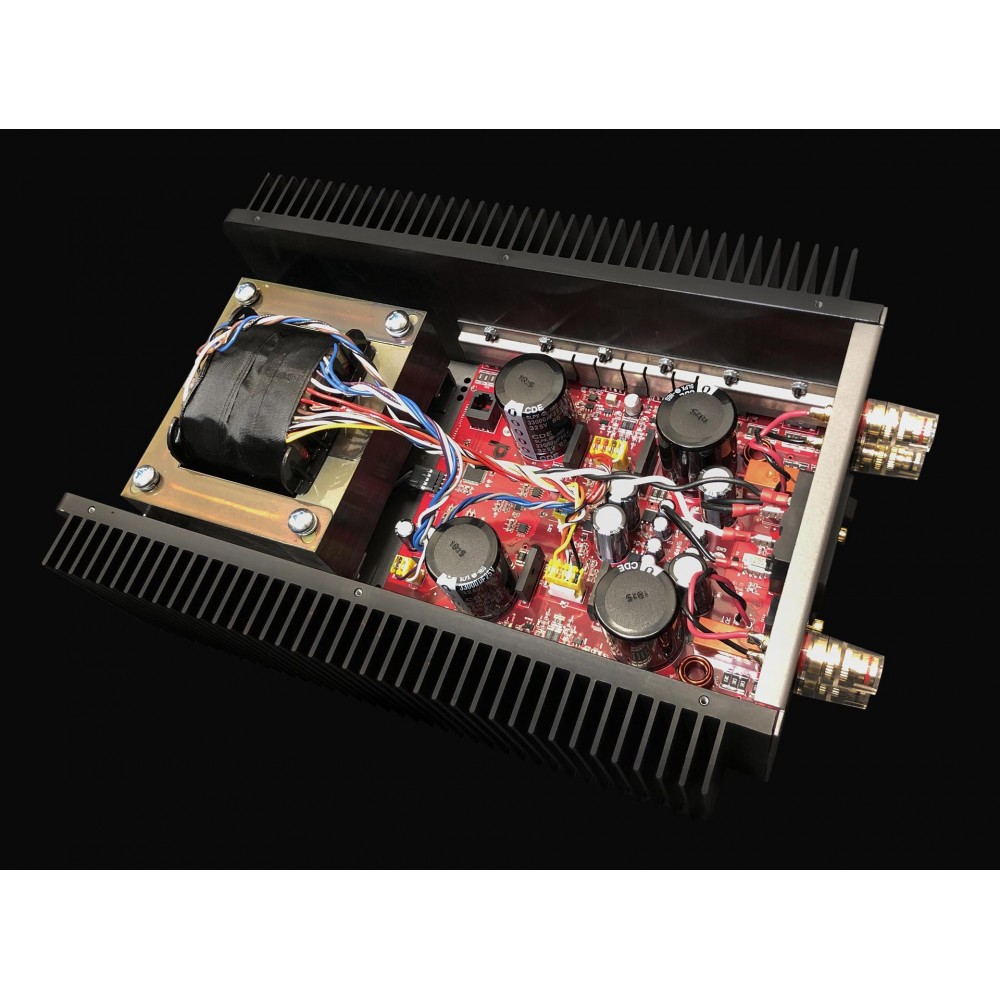 Усилитель мощности Schiit Audio Aegir